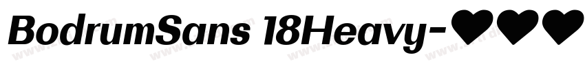 BodrumSans 18Heavy字体转换